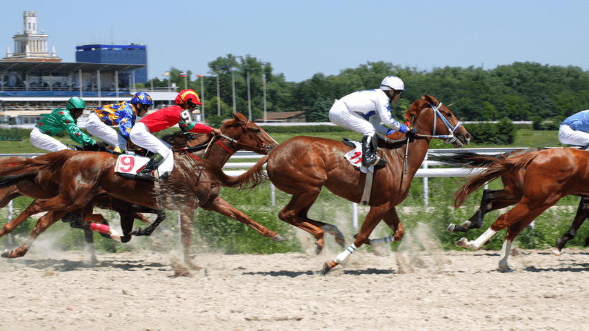 horse racing crypto betting